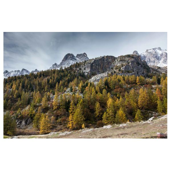 PHOTO84, CLUB, 84 , LUBERON